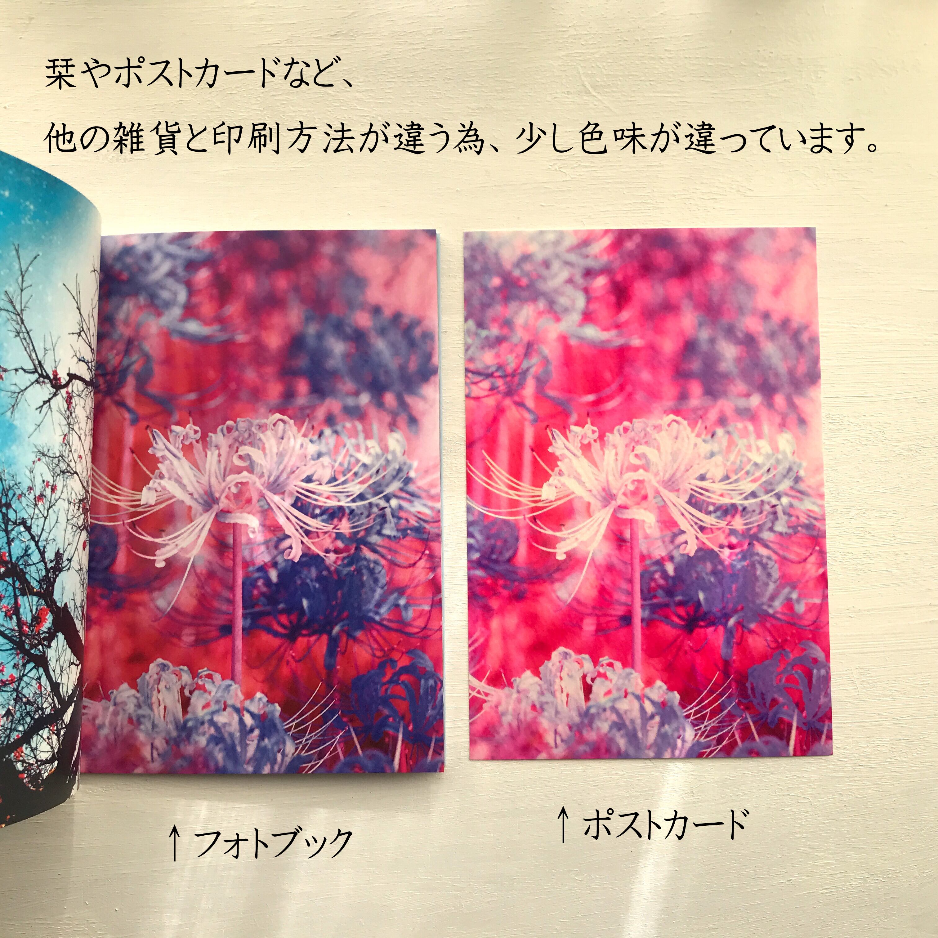 d4cfed393f836b9388ac72e7b990b7