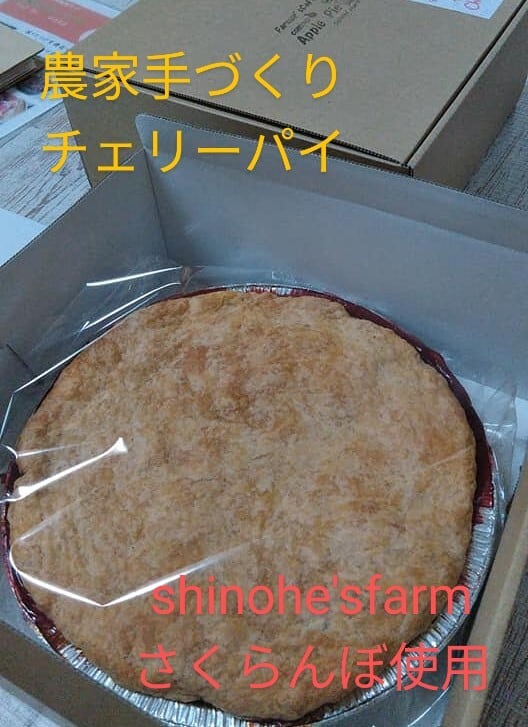 農家手づくりチェリーパイ | shinohesfarm