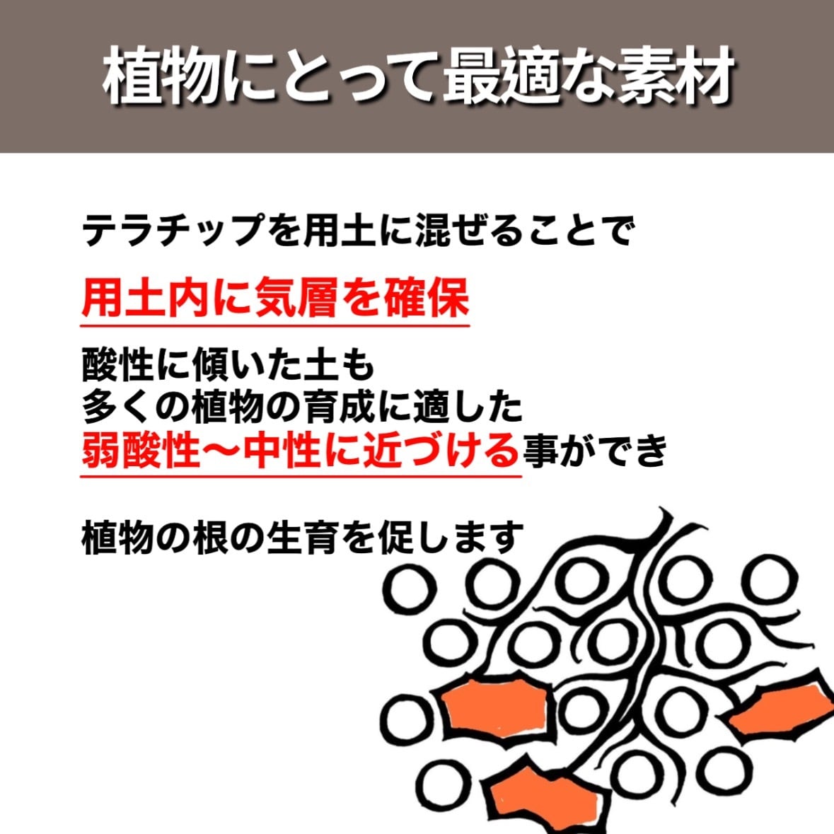 赤焼 600ml【テラチップ®️】