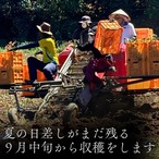 安納芋 有機栽培 長崎県五島列島産 約2.5kg (S、2Sサイズ混合) 有機JAS認証 さつまいも 土付き 焼き芋向き 産地直送 貯蔵後、順次発送