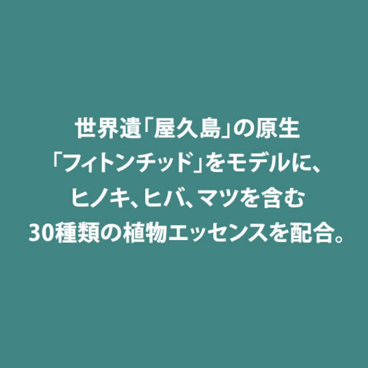 【まとめ買い用】紙おしぼり クリール エッセンス 森の香り  L 平型 4000本