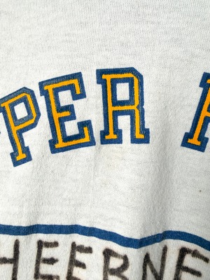 HEEBNER tee