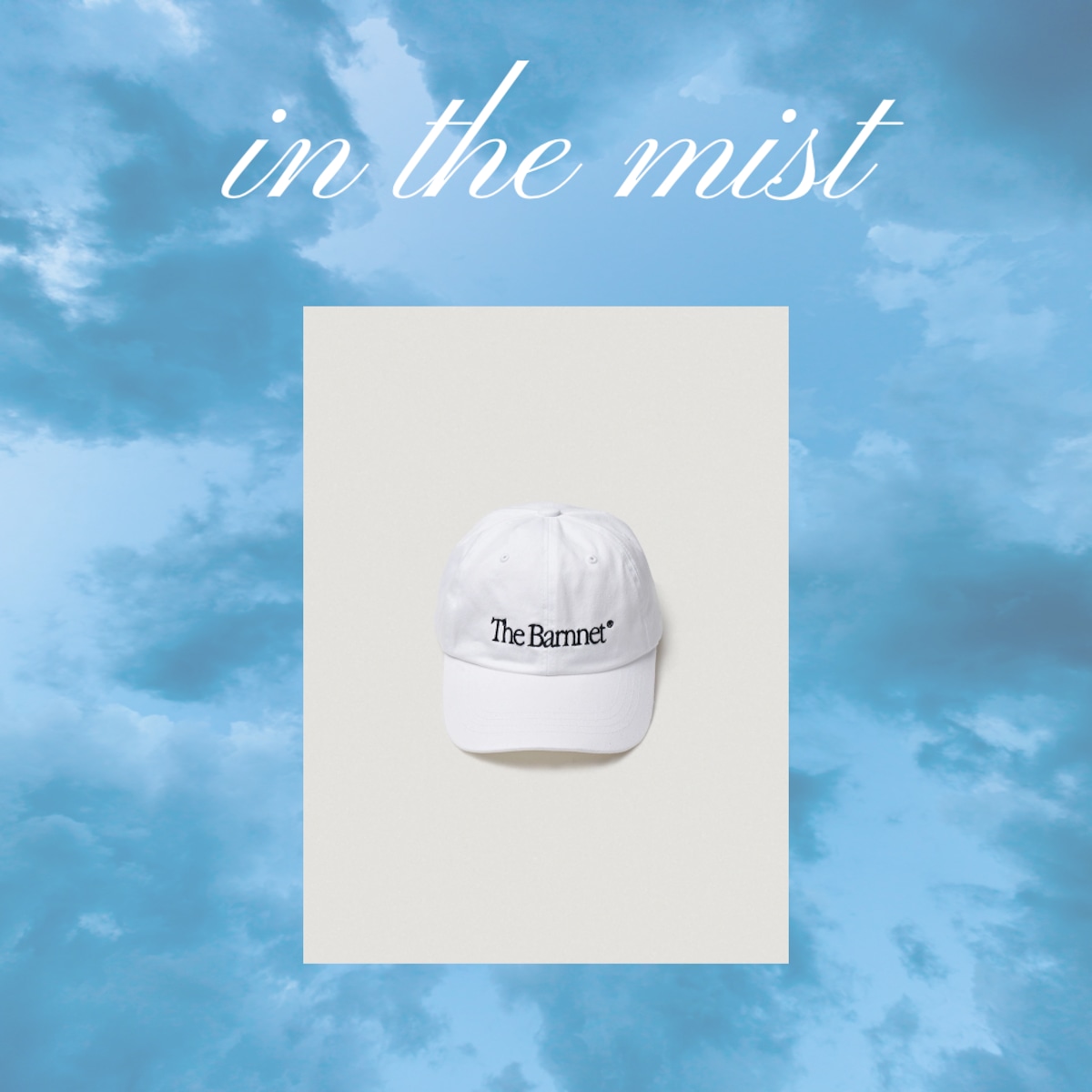 The Barnnet Logo Ball Cap | in the mist The Barnnet Logo Ball Cap | in the mist
