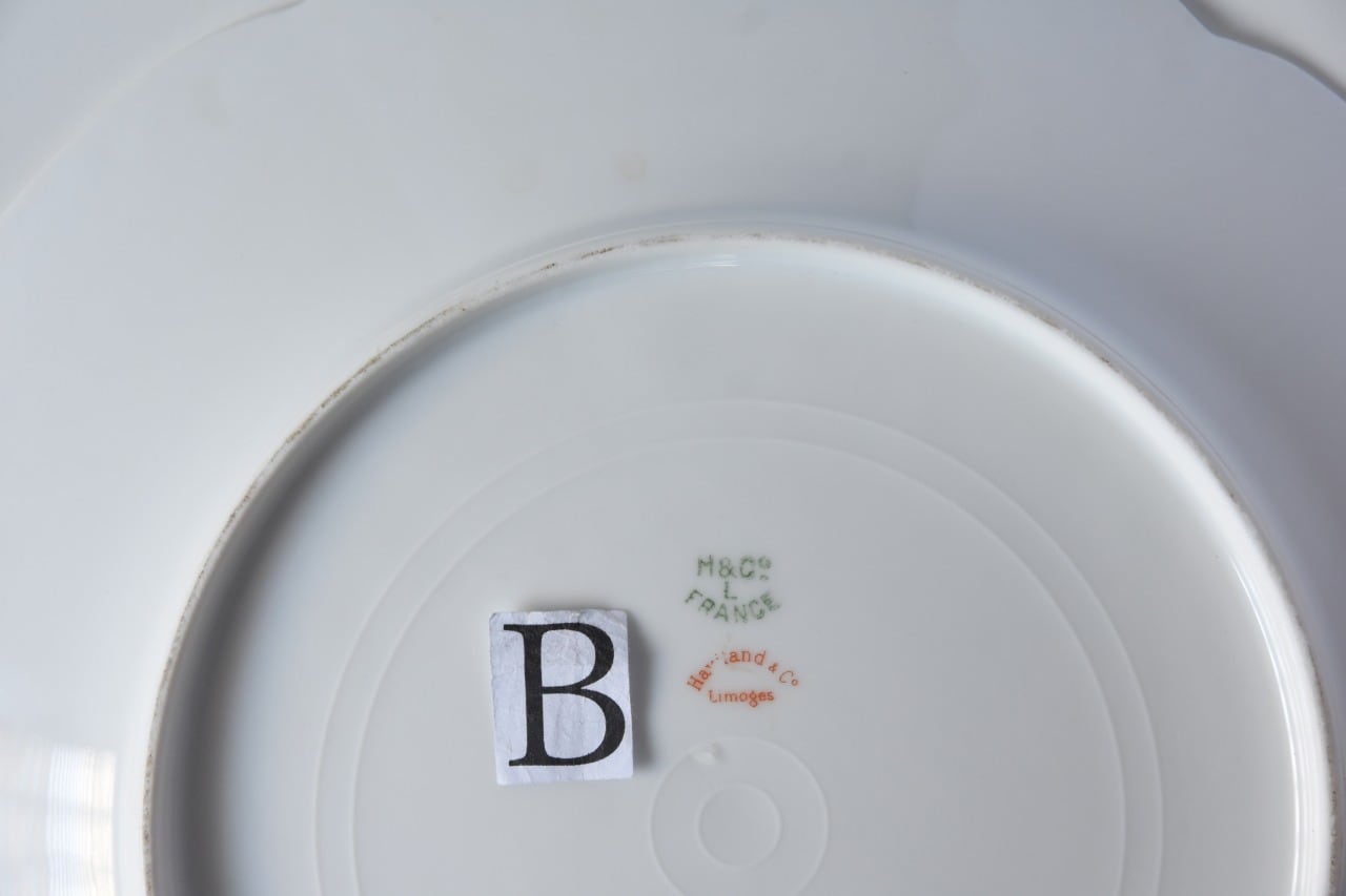 Limoges / リモージュ / お花柄のディナープレート / B | destrucs