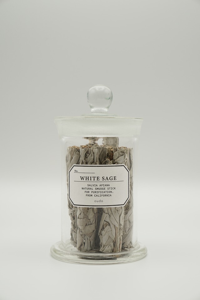 White Sage Bandle in Specimen Bottle