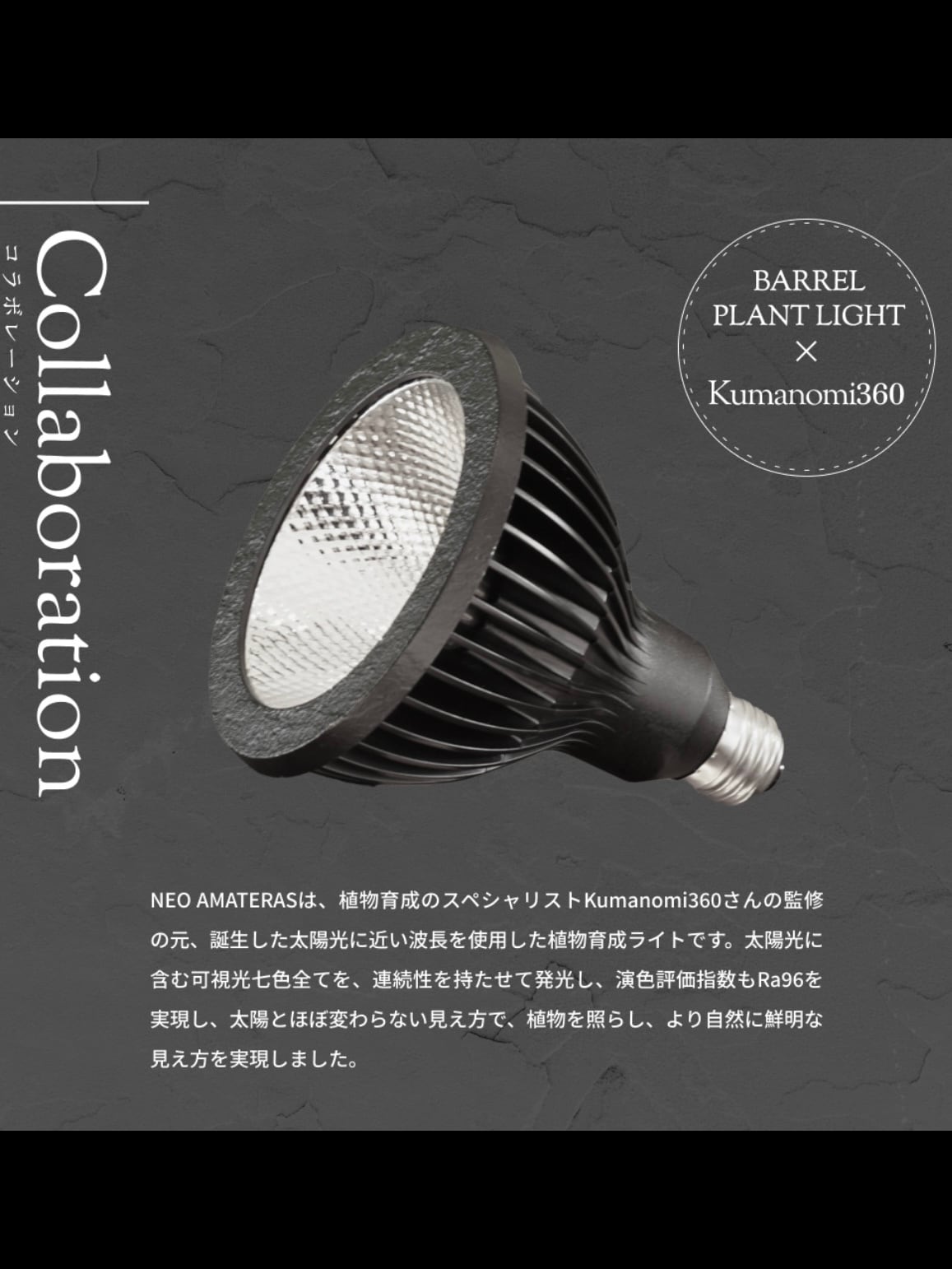 NEO AMATERAS LED 20W | trigger