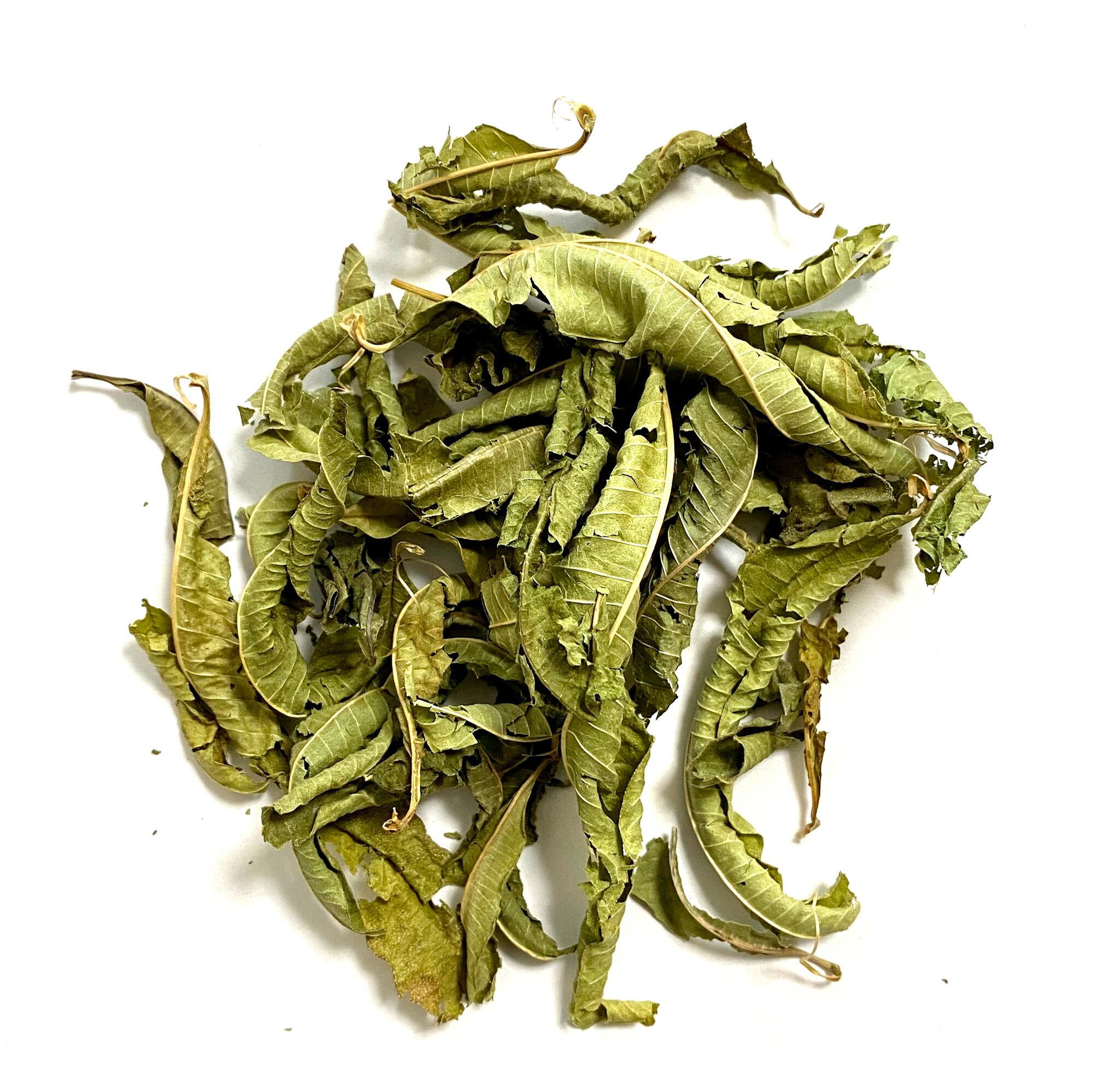 国産 ドライハーブ レモンバーベナ 30g  ハリオサイエンス公式通販