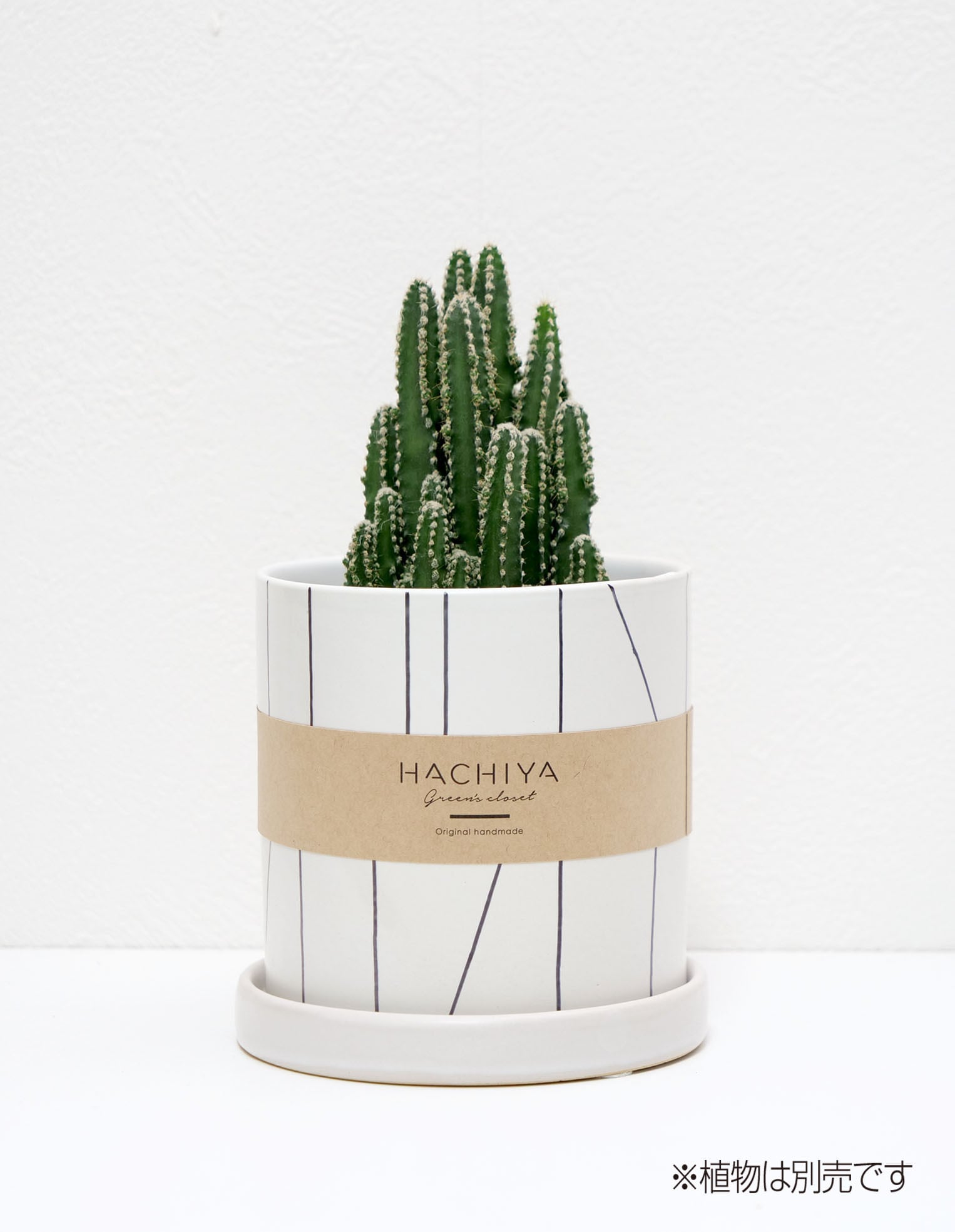 <陶器鉢>Amidakuji Mサイズ