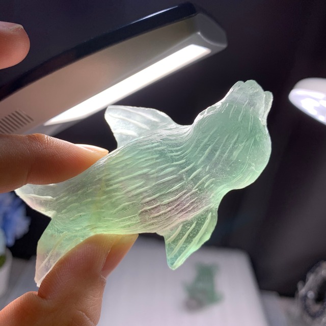 フローライトアザラシ