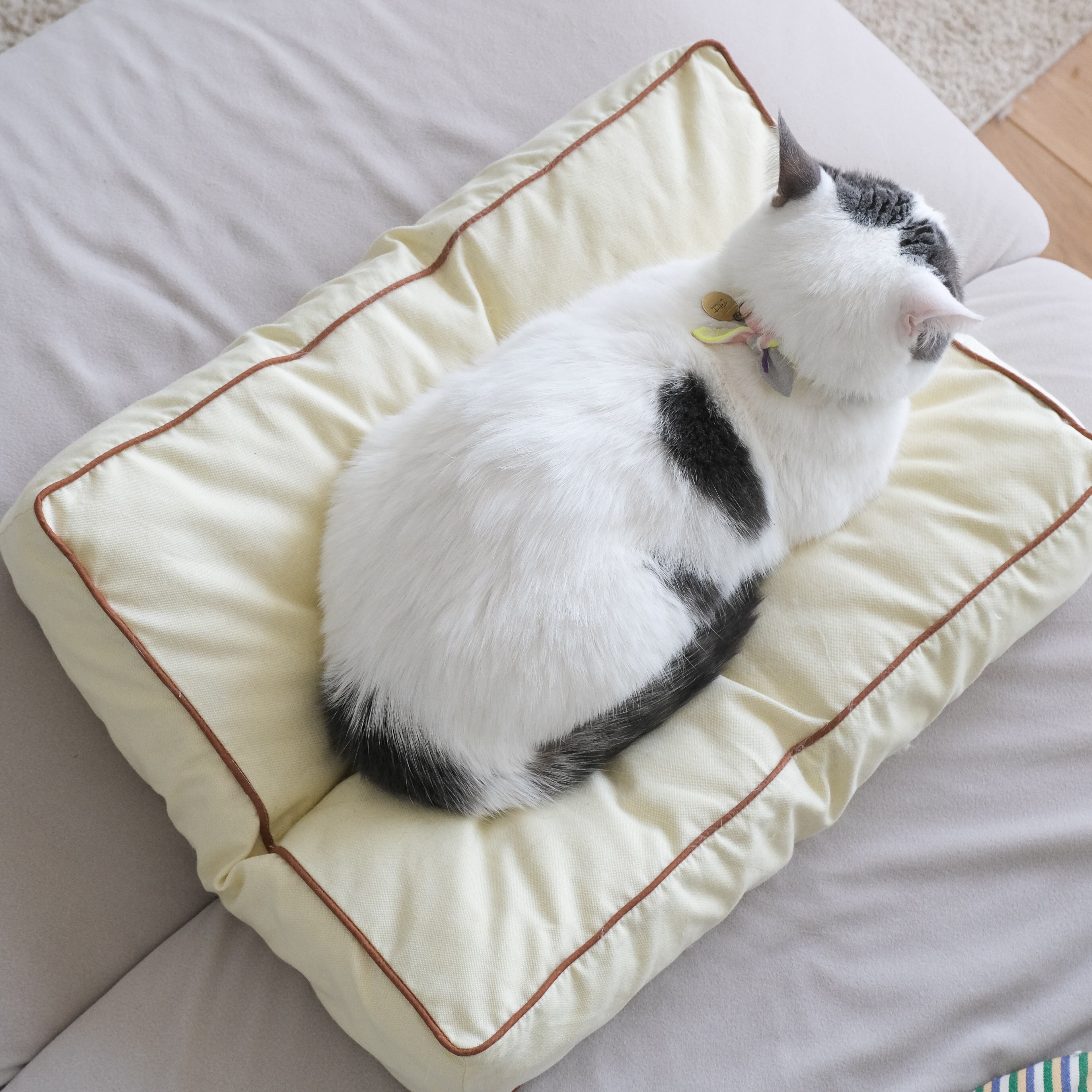 【tofmofu】Cat bedmat本体 + カバー Catbedmatカバー イエローオックス×Brown Piping | tofmofu