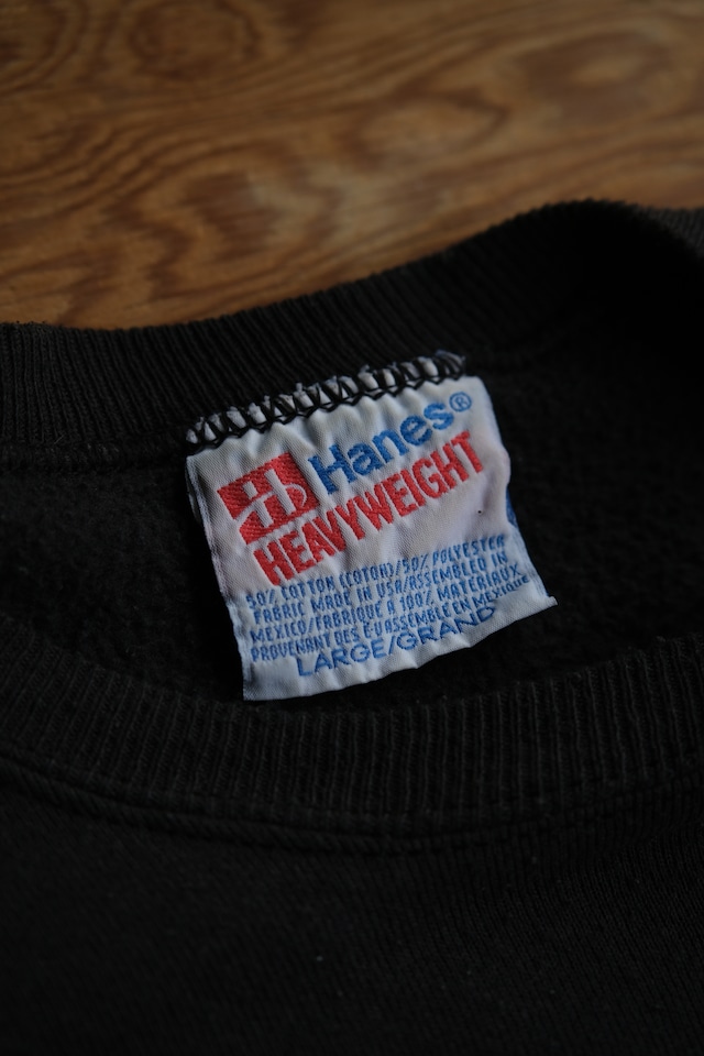 Utah/90's "Biosphere 2" print sweat