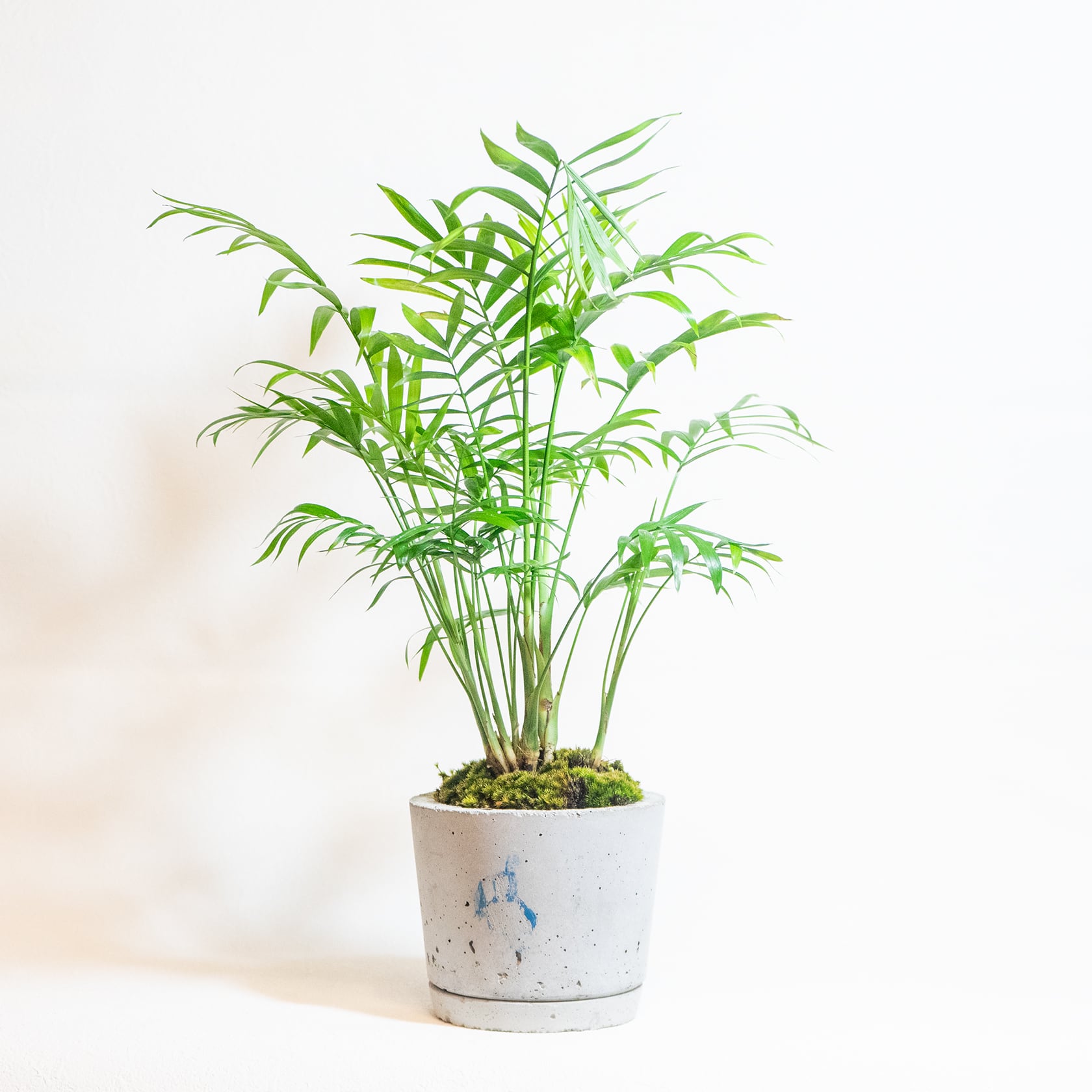 d4ed0ea2add8303ac8ee26040d735c