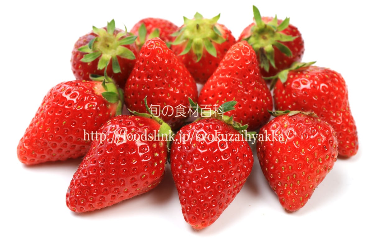 とちおとめ（いちご）Tochiotome16(5184-3456) | 旬の食材百科