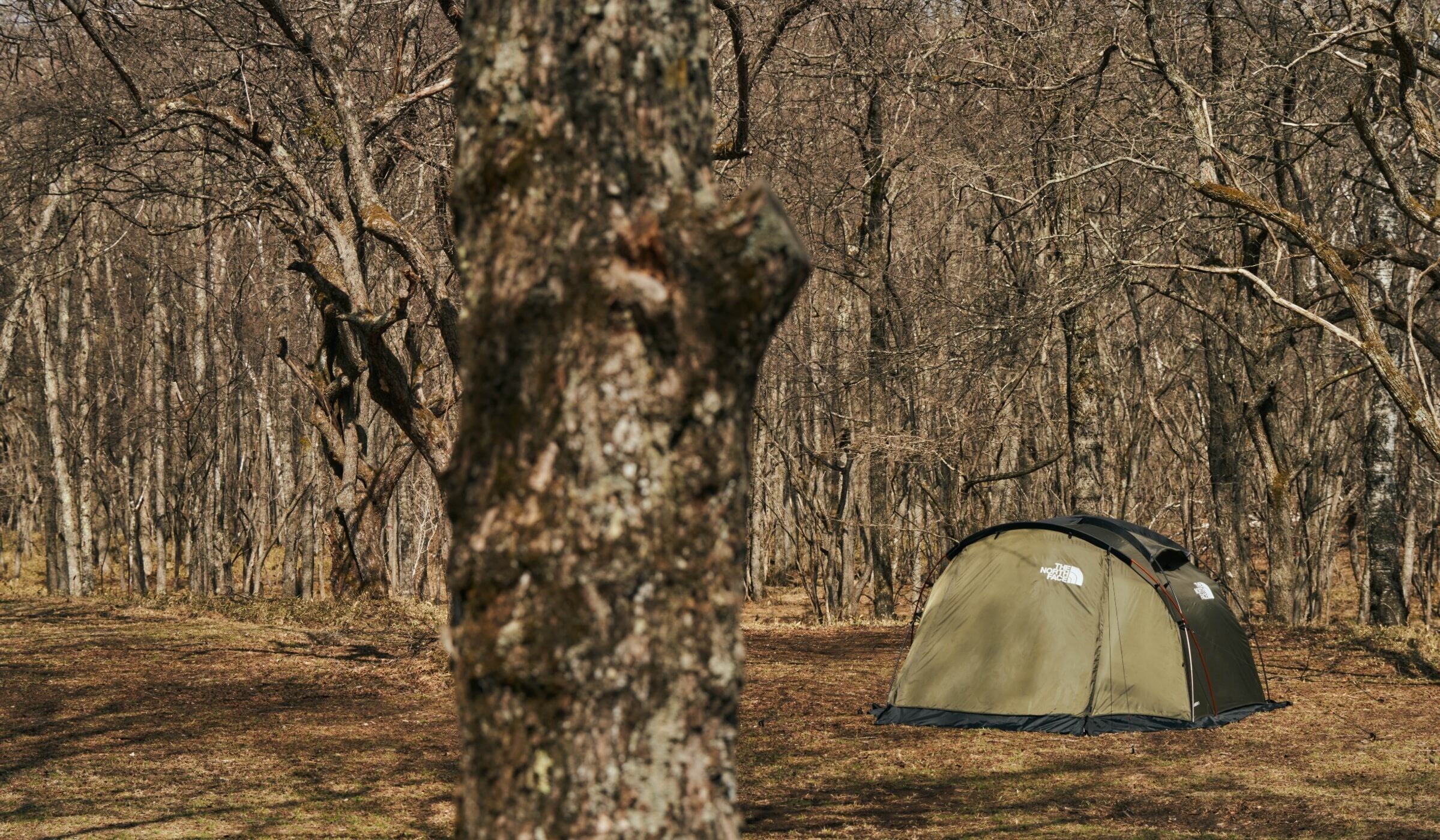 THE FREE SPIRITS】Yoto plus 75D Ivory | WOODS