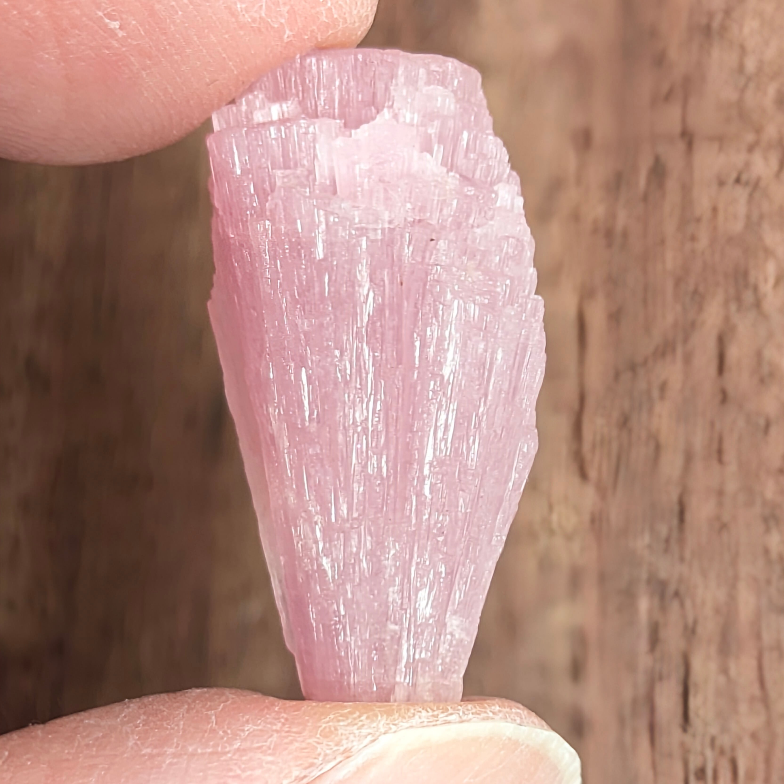 アブデーバイト原石 ミャンマー産【19.454ct】PRO208614 | Gem's