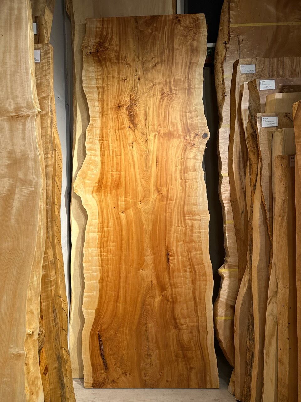 Premium】栃（トチ）_2520×750-920×55_青山店_テーブル天板/一枚板