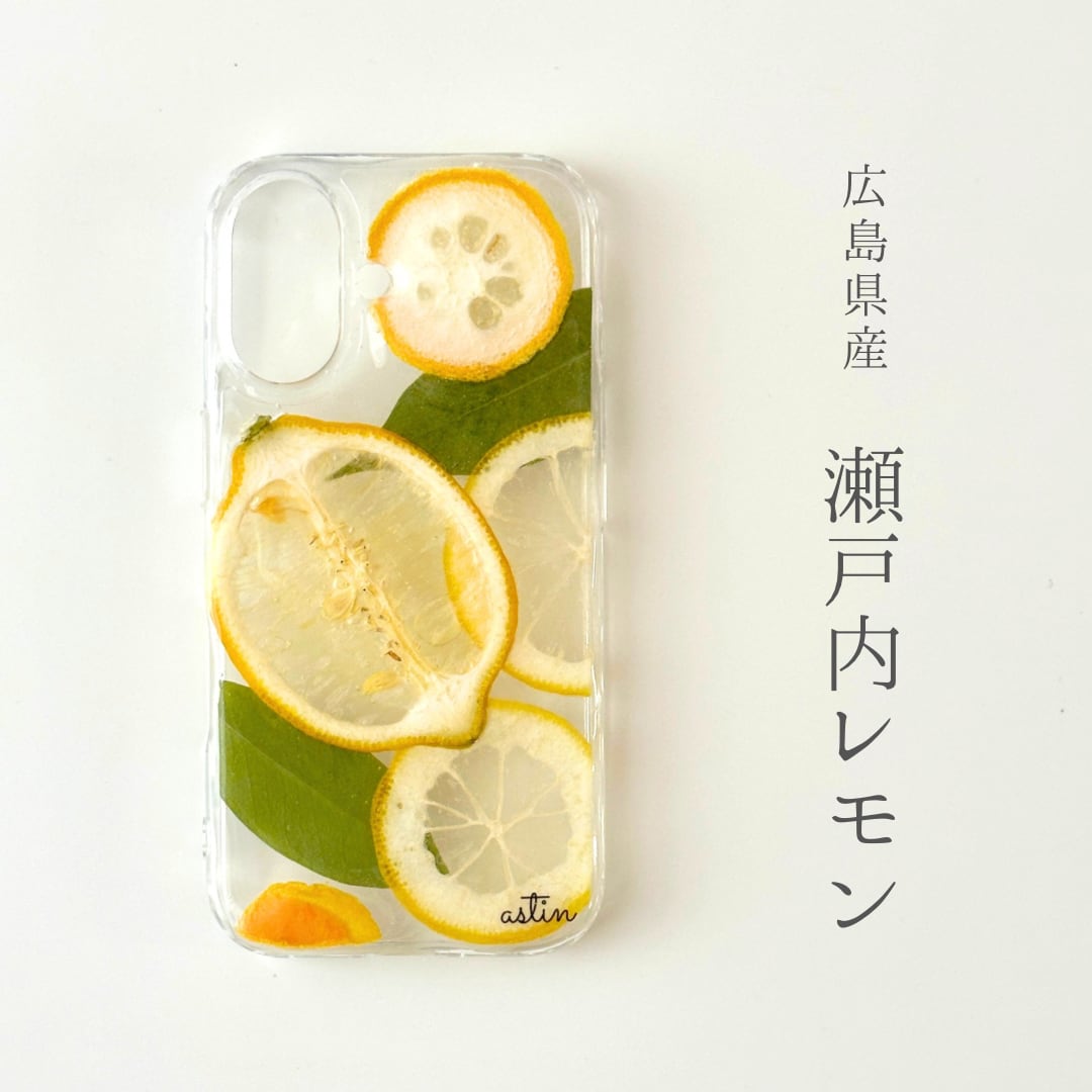 metoteページ★押しフルーツケース metote様専用ページ☆押しフルーツケース スマホケース 【公式通販】