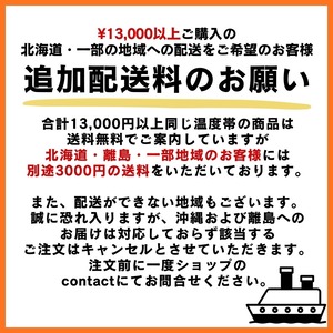 無添加 梅シロップ