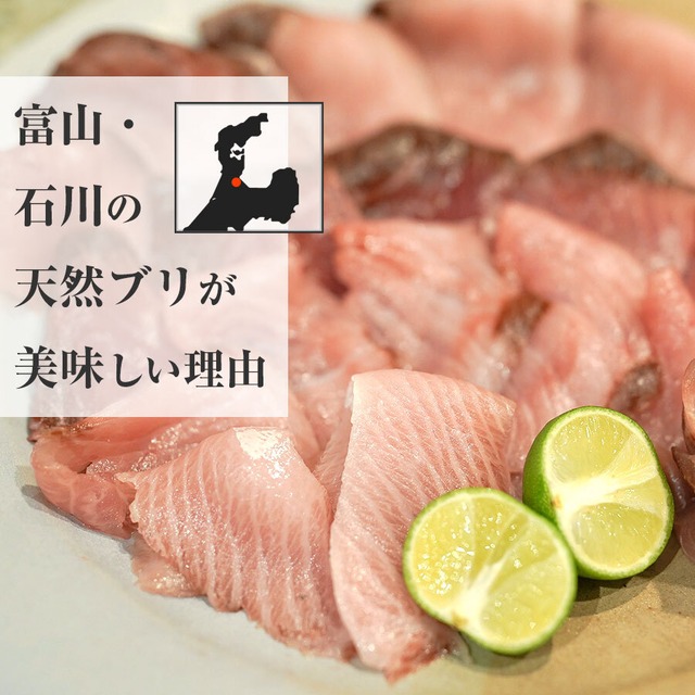 日本海富山湾の贈り物 ( ブリしゃぶ /　昆布締め刺身/　ホタルイカ沖漬け）ギフトにぴったり。