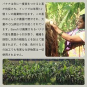 Legato コンパクト財布　バナナ　ブラック