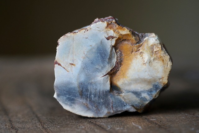 珪化木 Araucarioxylon 21