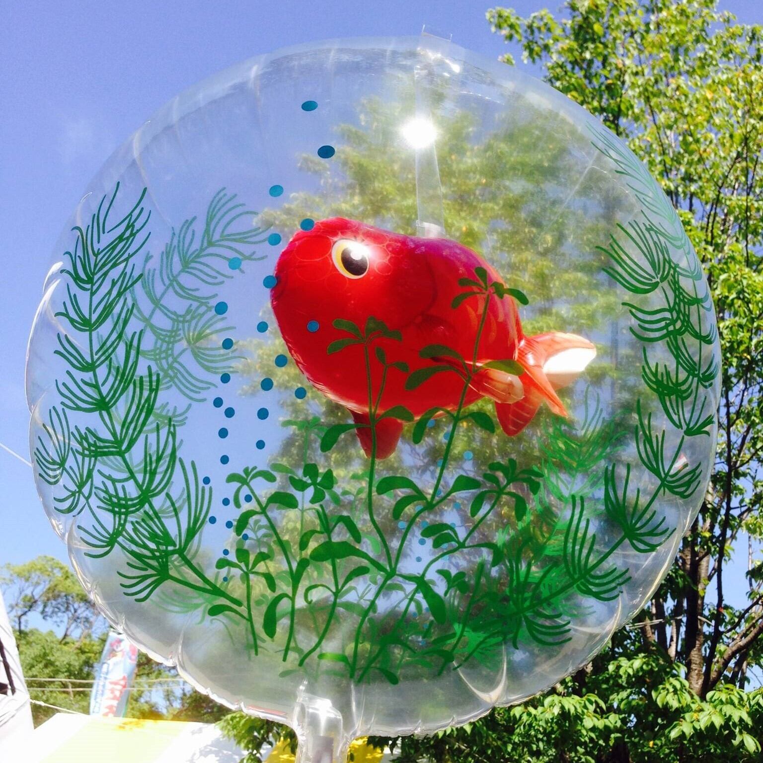 IN's Balloon らんちゅう | エスエージーバルーンズ株式会社
