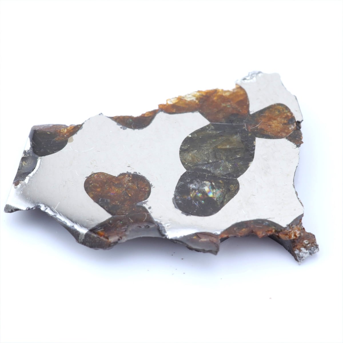 石鉄隕石 パラサイト | 隕石販売.jp