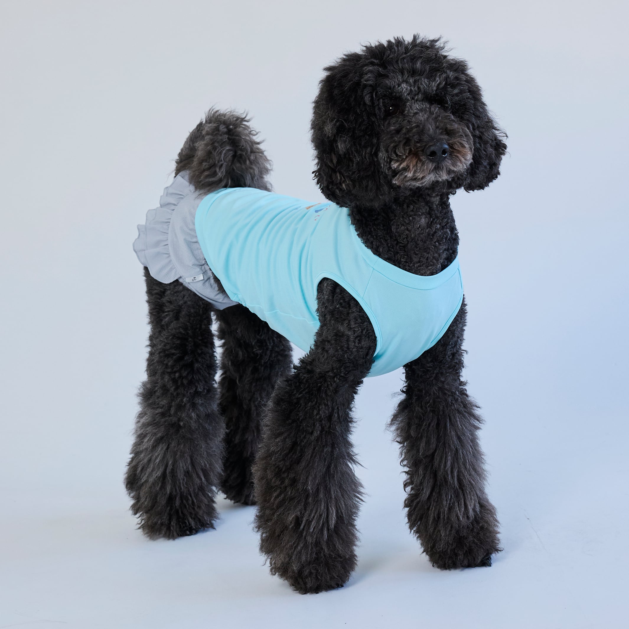 265506大型犬サイズ】冷感タンクトップ | 犬服ブランド 2e deuxieme