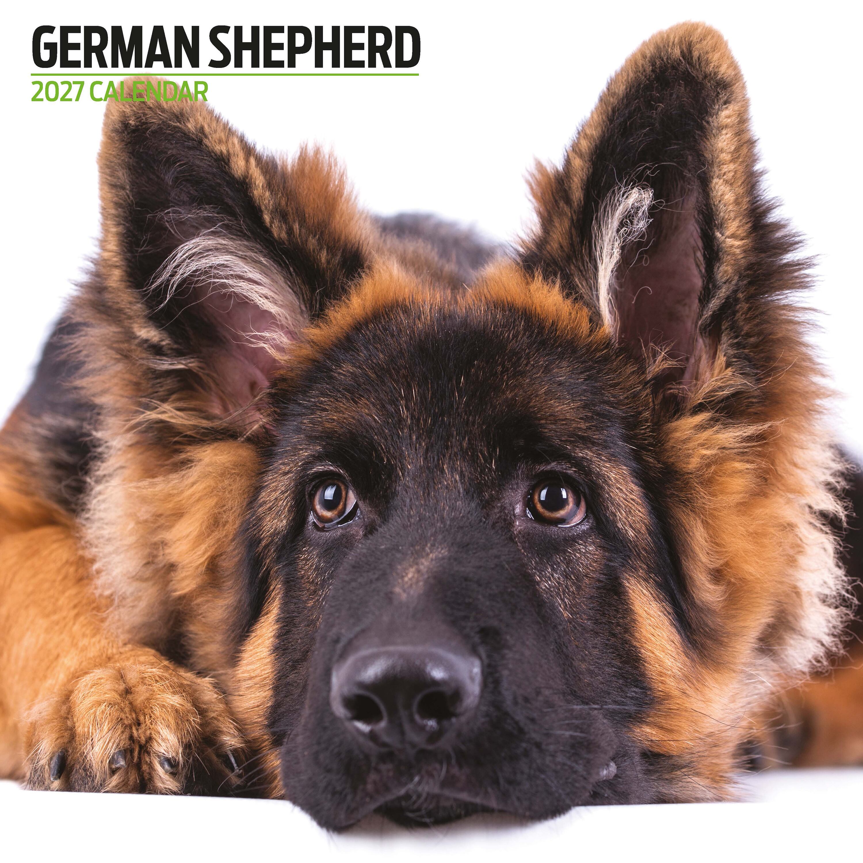 【2027年版】英国製犬種カレンダー【ジャーマン・シェパード】 Modern 2027年版