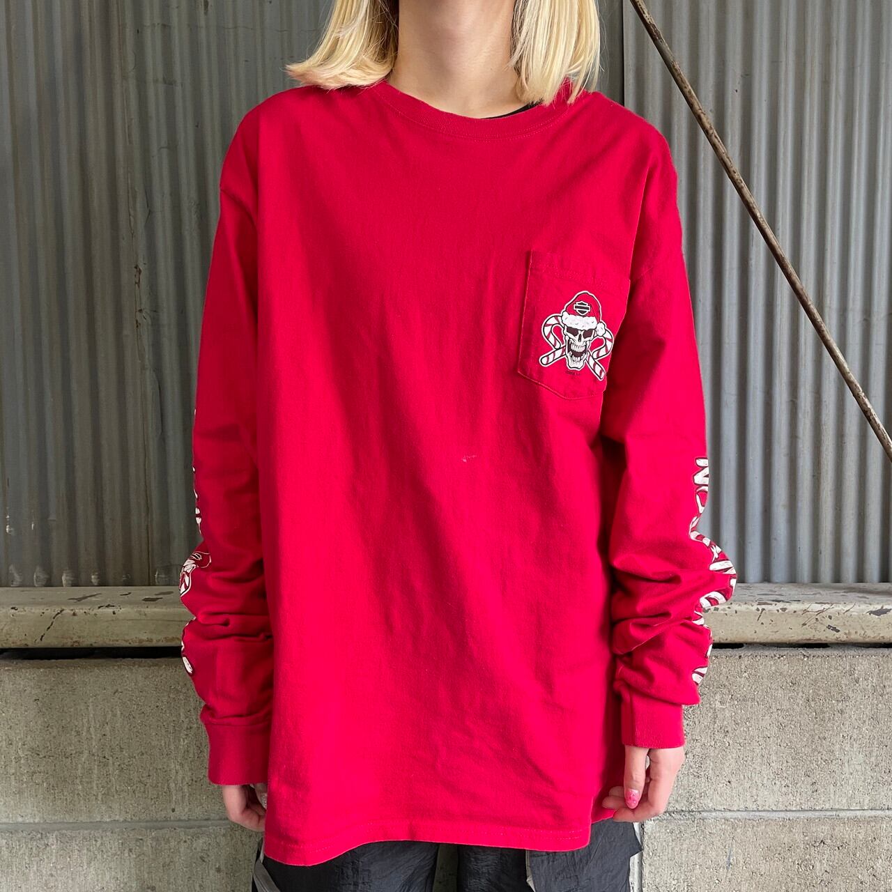 XL HARLEY DAVIDSON 長袖シャツ スカルプリント ヴィンテージ WillieG 