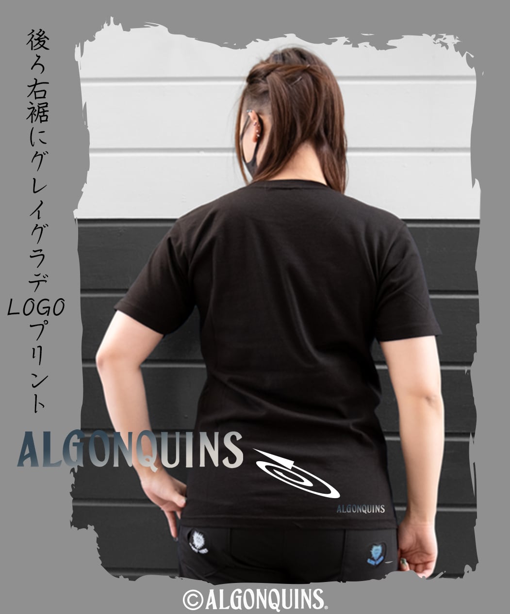 【うさぎ】新品タグ付き エムズグレイシー  切り替えカットソー 38 楽天市場】エムズ グレイシー カットソーの通販