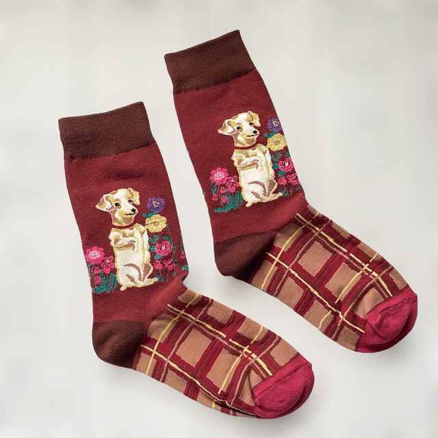 【Socks Appeal】Nathalie lete 犬 ソックス