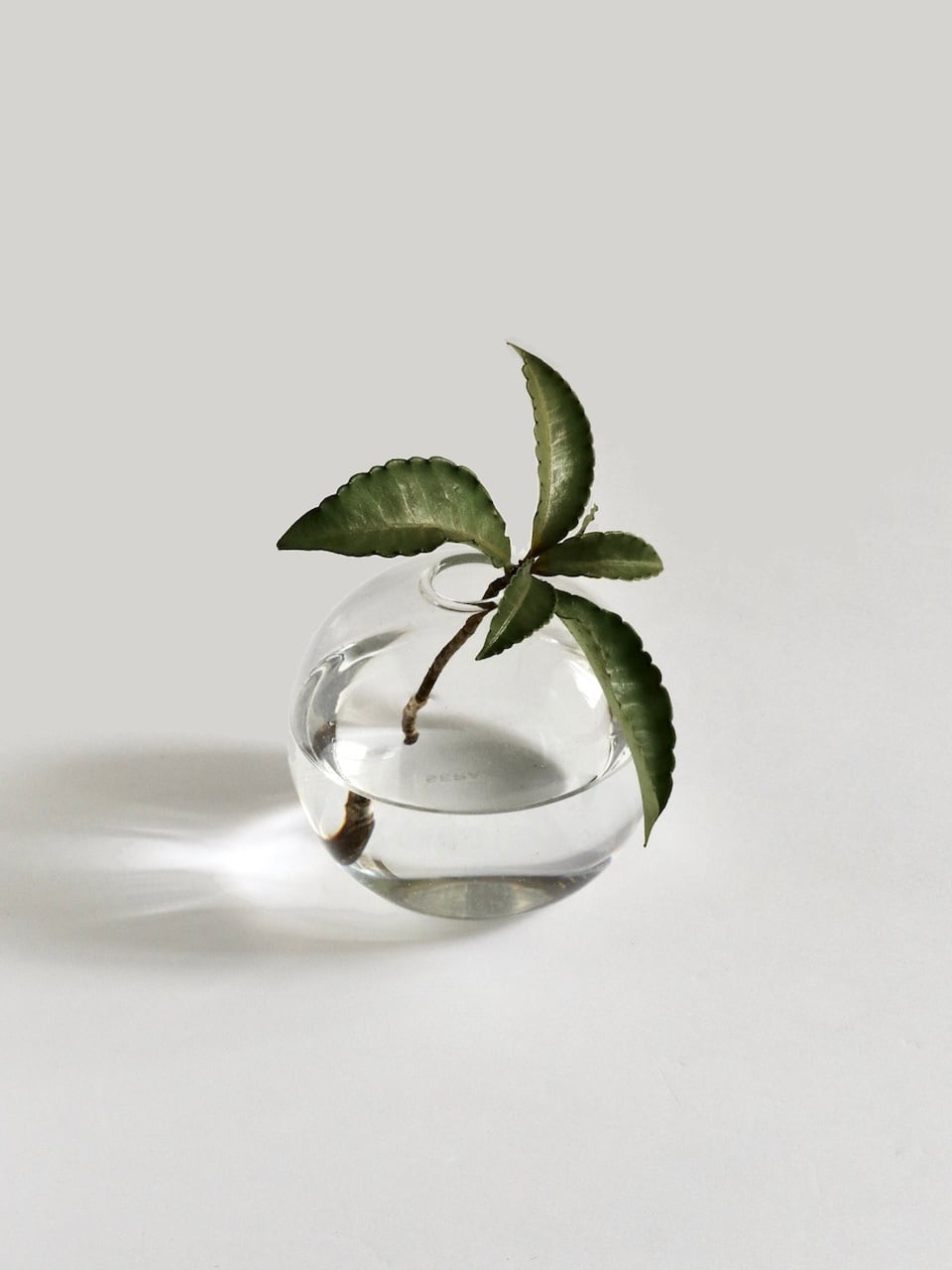 ボール フラワーベース クリアガラス｜Ball Flower Vase Clear Glass