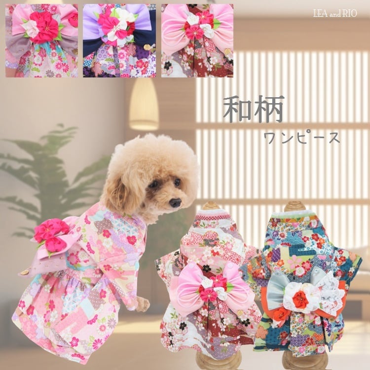 新品 オリバーガル PARISIAN LUXE CHAMPAGNE TALL 新品 オリバーガル PARISIAN LUXE CHAMPAGNE TALL Amazon.com: The