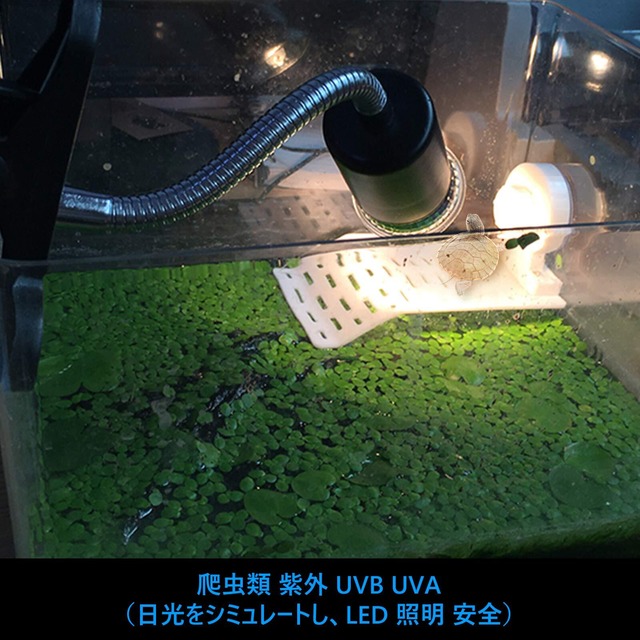 亀ライト 両生類用ライト 爬虫類ライト25W+50Wアナログ太陽 CHAUYI 熱帯・亜熱帯 UVA+UVBライト バスキングライト2つランプ付き
