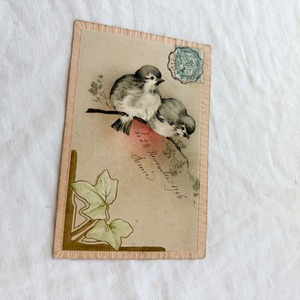 フランスアンティーク ポストカード | 1906年消印 立体エンボス加工（小鳥と草花）| （B028）