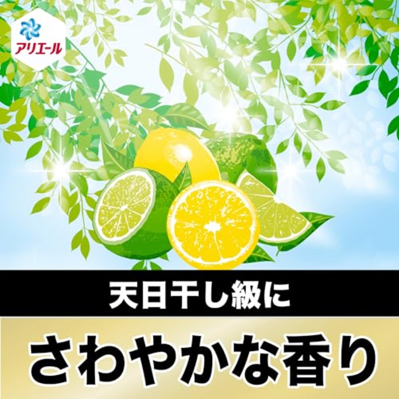 アリエール 洗濯洗剤 液体 超抗菌プレミアム 最高傑作の除菌+抗菌 本体 690g