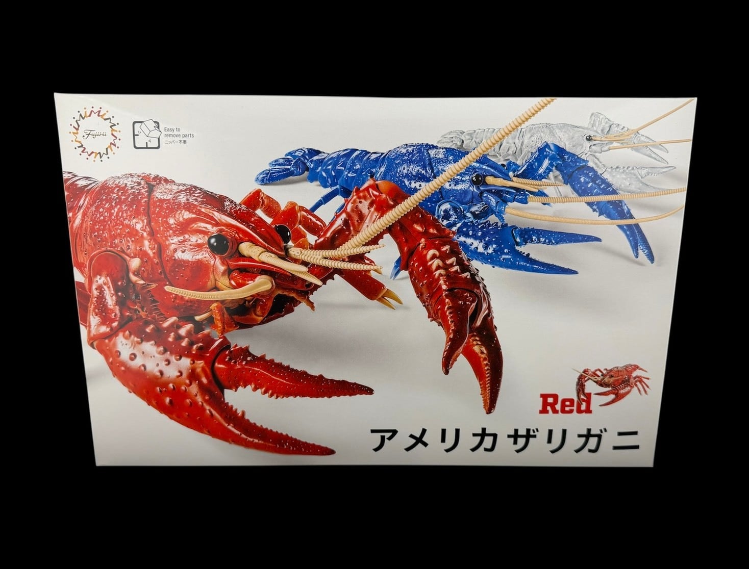 自由研究24 いきもの編 アメリカザリガニ（レッド） | KPW公式