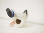 座るチャイナボーイ　オキュパイド・ジャパン（剥がれあり） 画像15