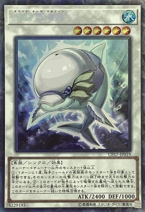 【Bランク】白闘気海豚(コレクターズ)