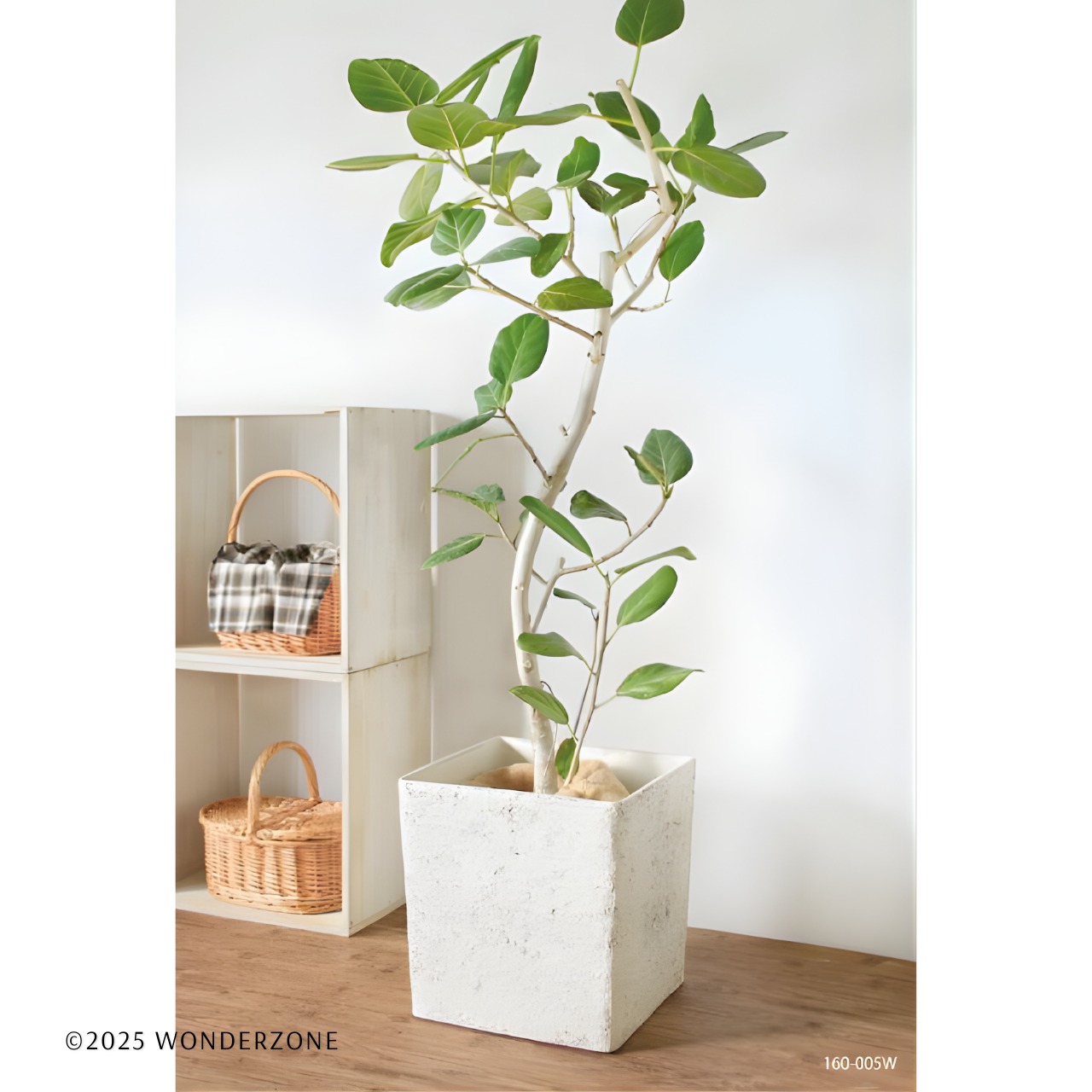 Galet FRPポット10号用