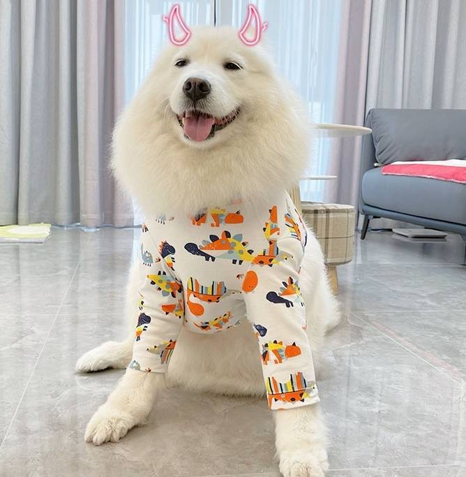 3種類 着丈短めTシャツ 肘の部分が少し厚め♪