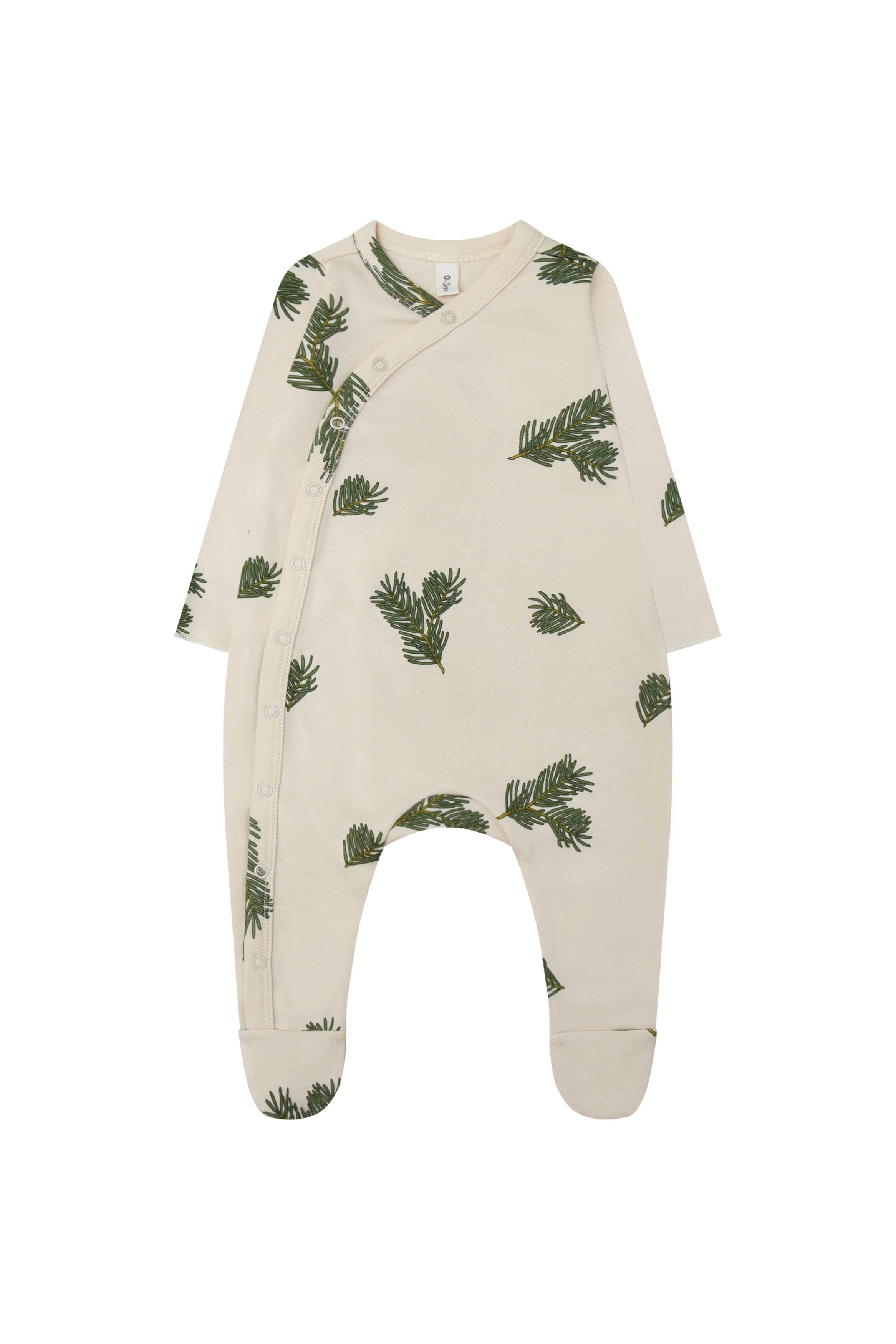 LittleCot_A アシモクラフツ　リトルコット LittleCot_A アシモクラフツ リトルコット 【公式通販】