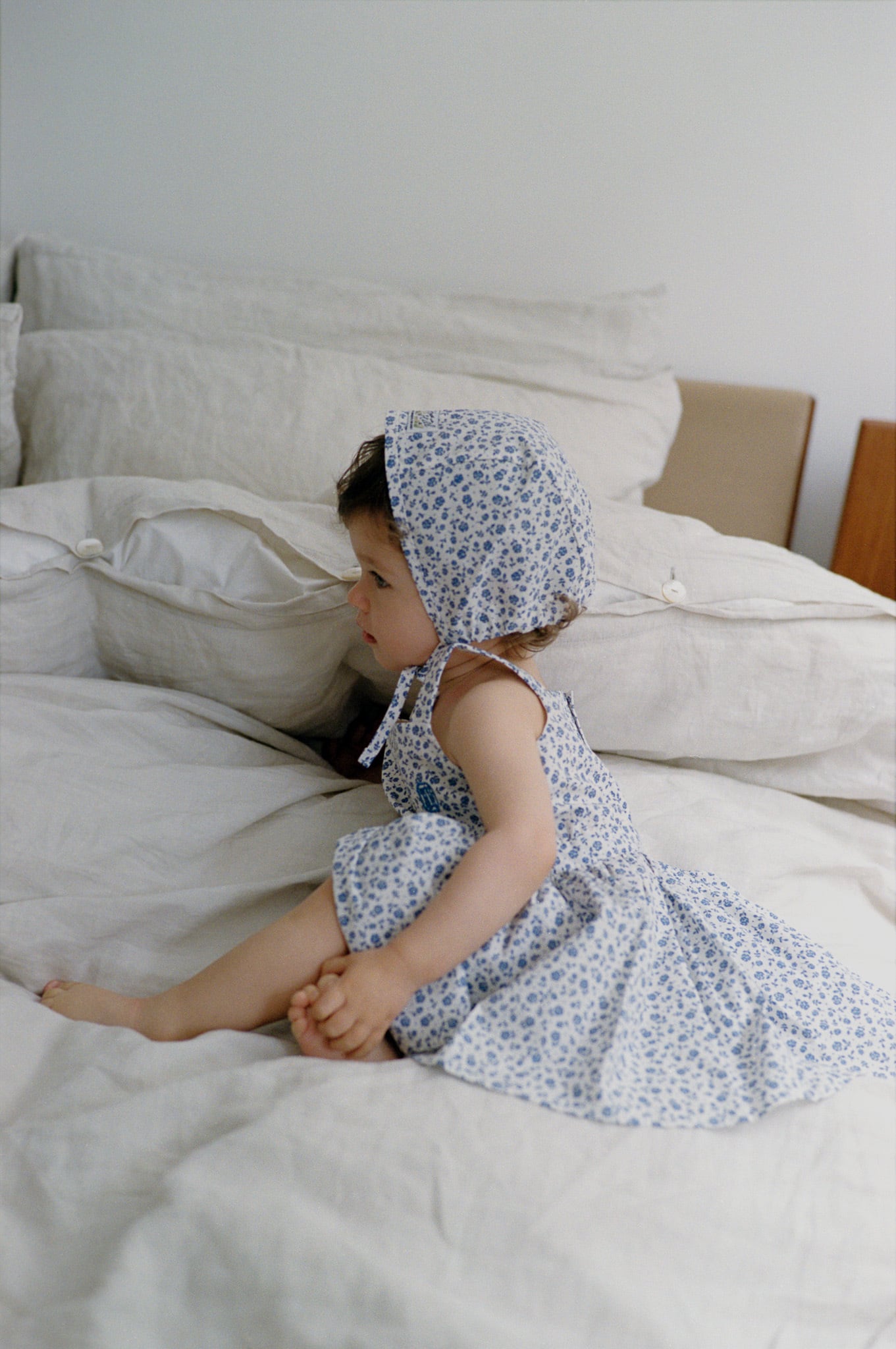 Dress (Flower) | House on the Hill