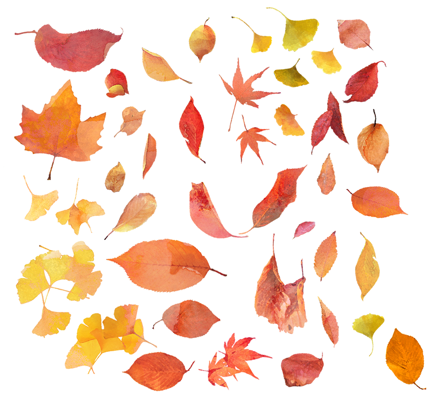 Autumn Leaves Kawaiie