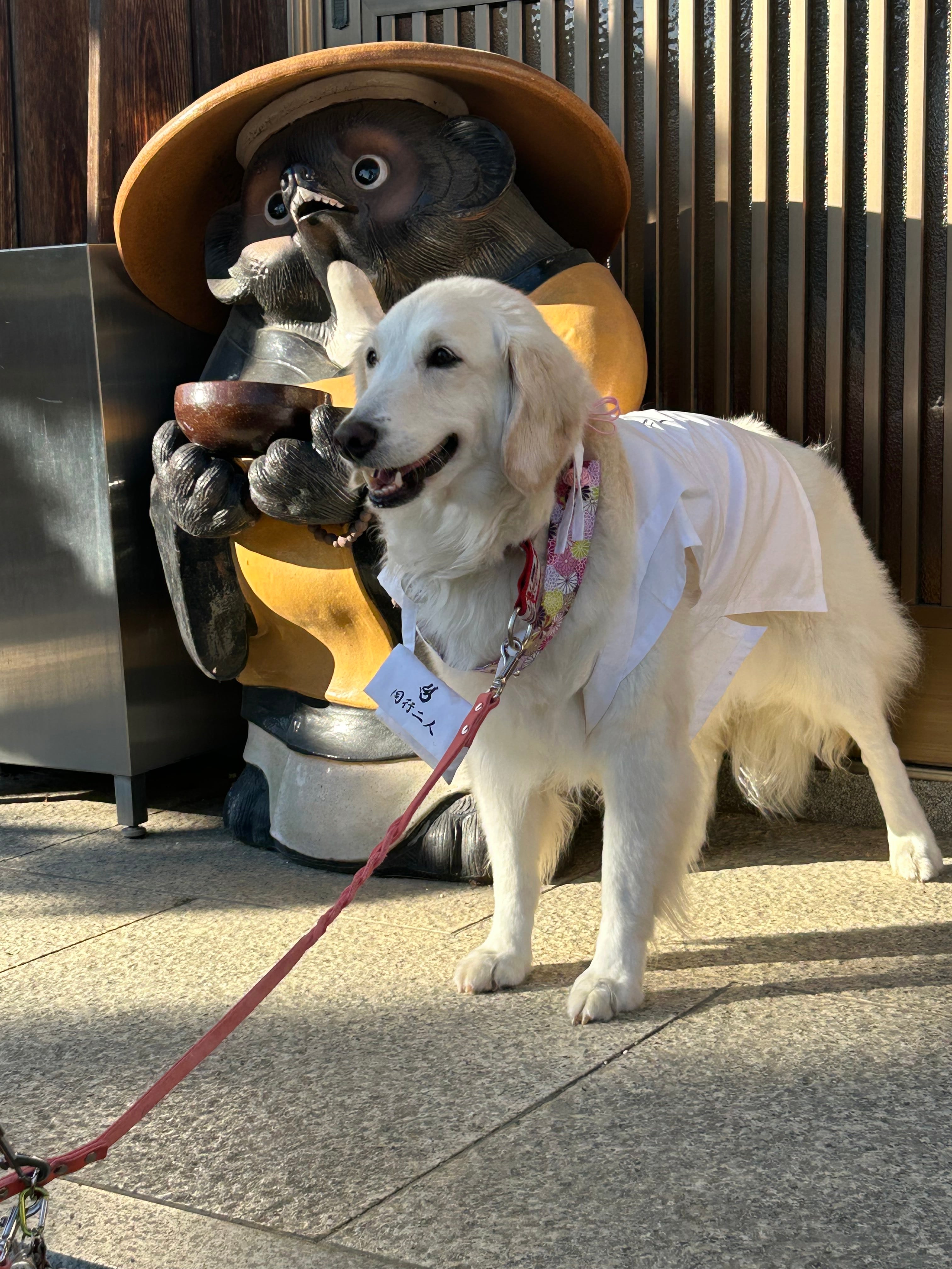 ペット用お遍路白衣さんや袋付き&輪袈裟　大型わんちゃん用　3点セット ペット用お遍路白衣さんや袋付き&輪袈裟 三点セット Lサイズ