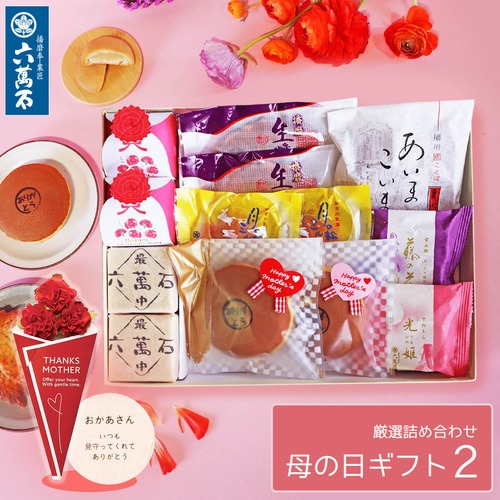 母の日ギフト 2026 『母の日詰め合わせ 2』 8種 詰め合わせ #和菓子#お取り寄せ#土産#プレゼント#進物