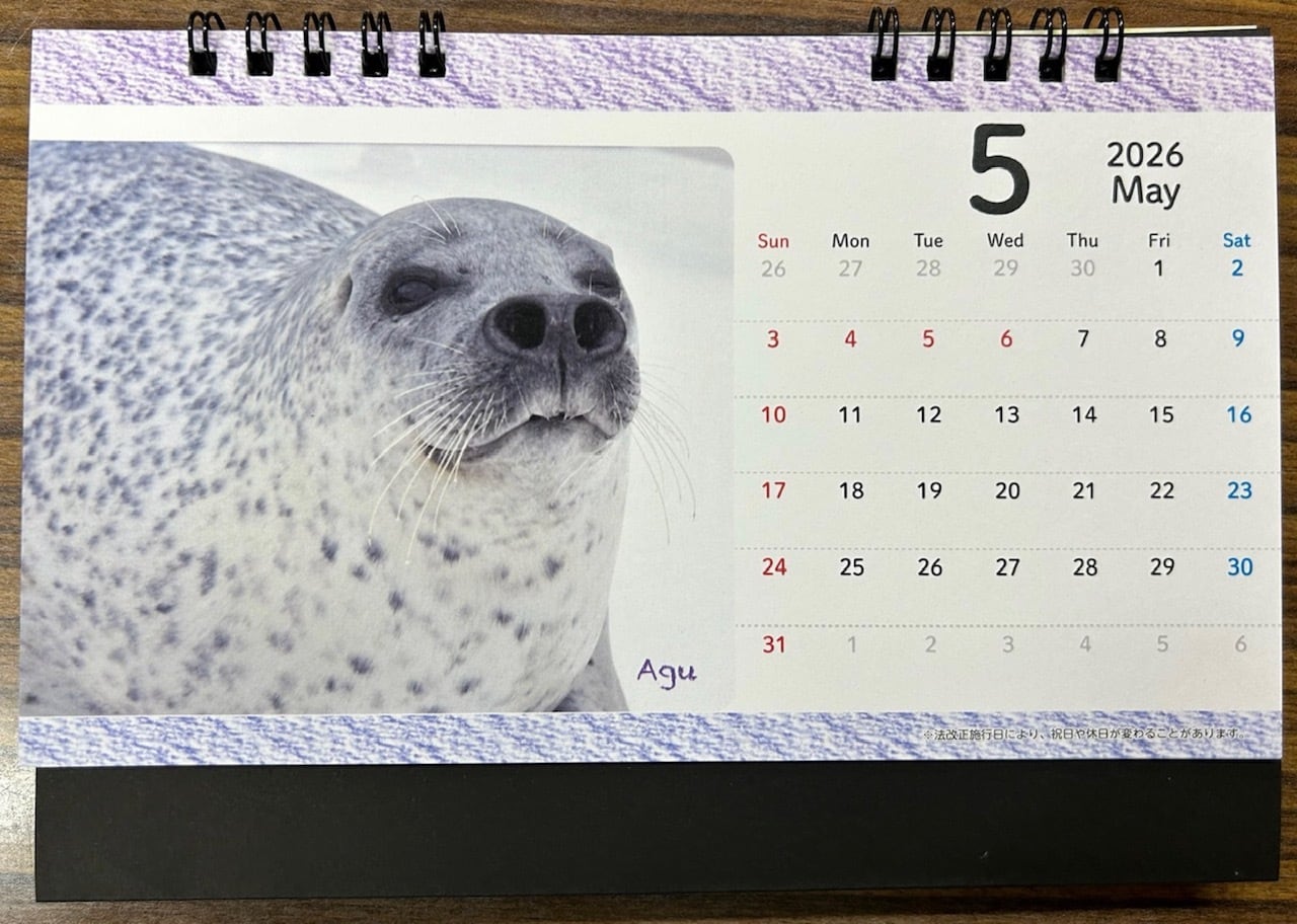 ダイタク カレンダー 今期最終】とっかりセンター卓上カレンダー (1月～12月） | 【公式