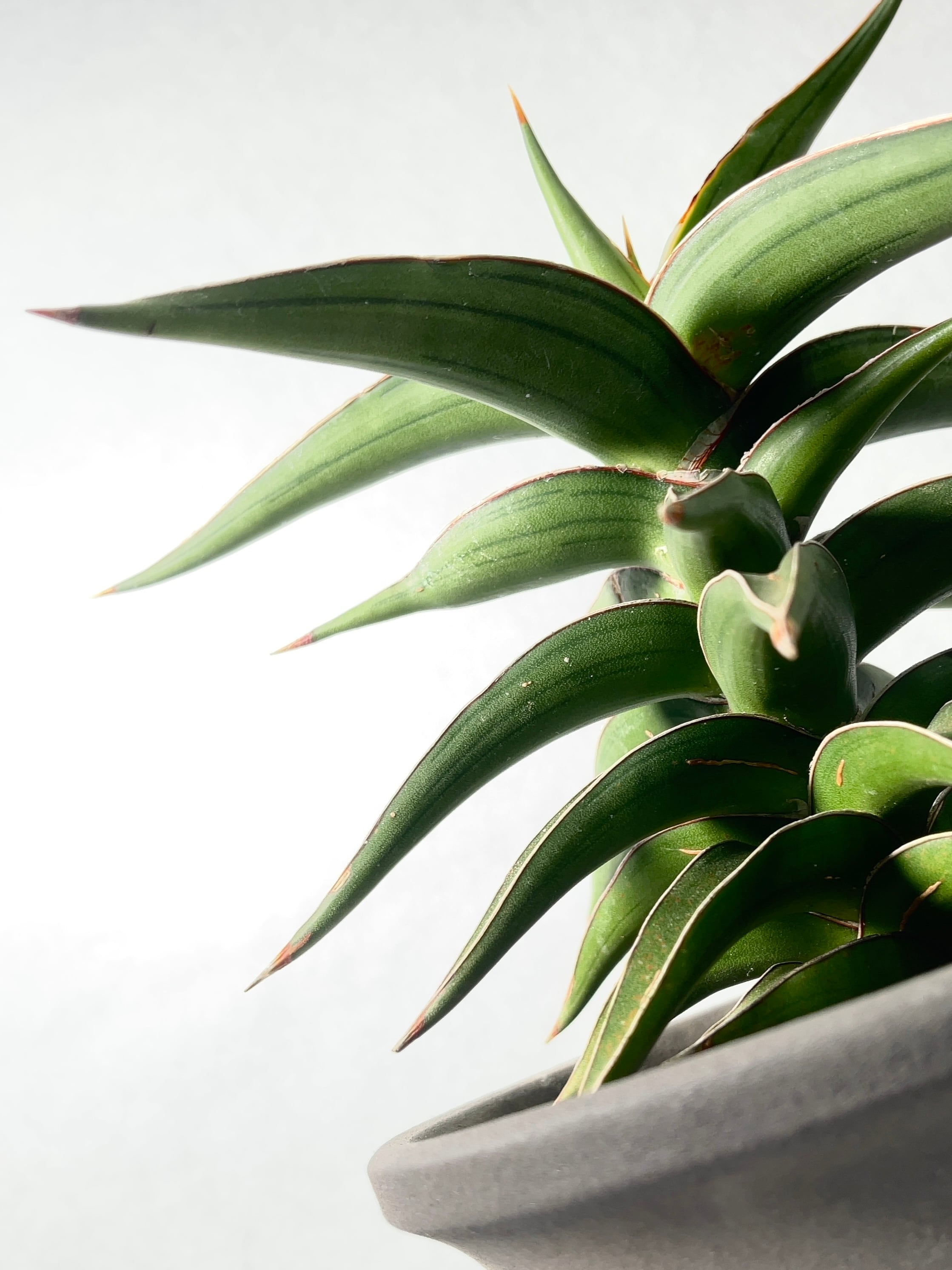 d527e35edb7a04af39d70b2e462604