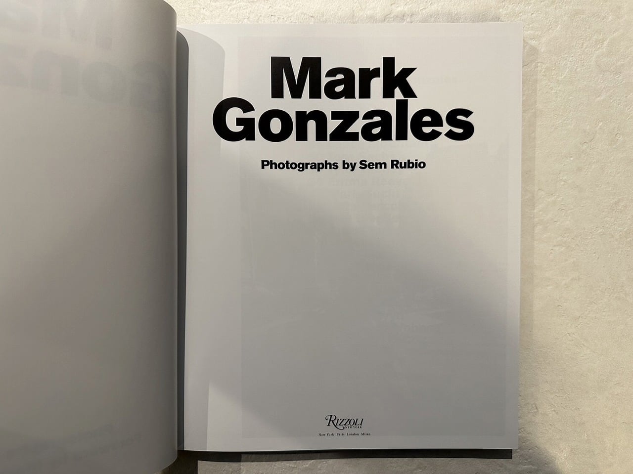 VF325】Mark Gonzales /visual book | KITAZAWA BOOKSTORE